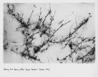 Whiting out Memory (After Derek Jarman\'s \'Chroma\', 1994), 2012 